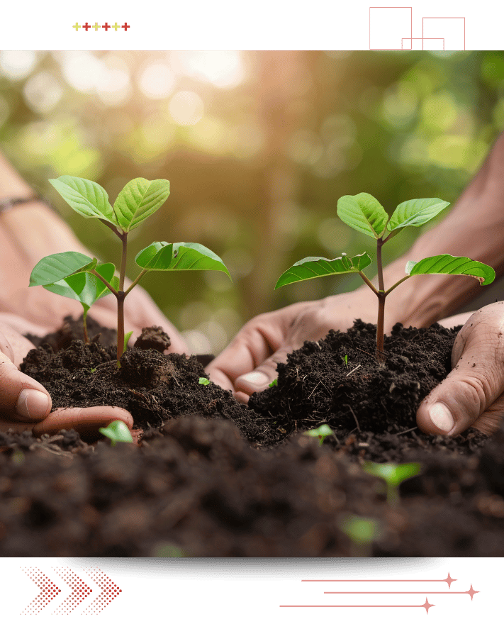 Kadakkarappally SCB 1125